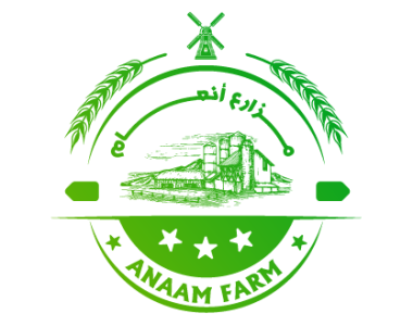 Annam Logo